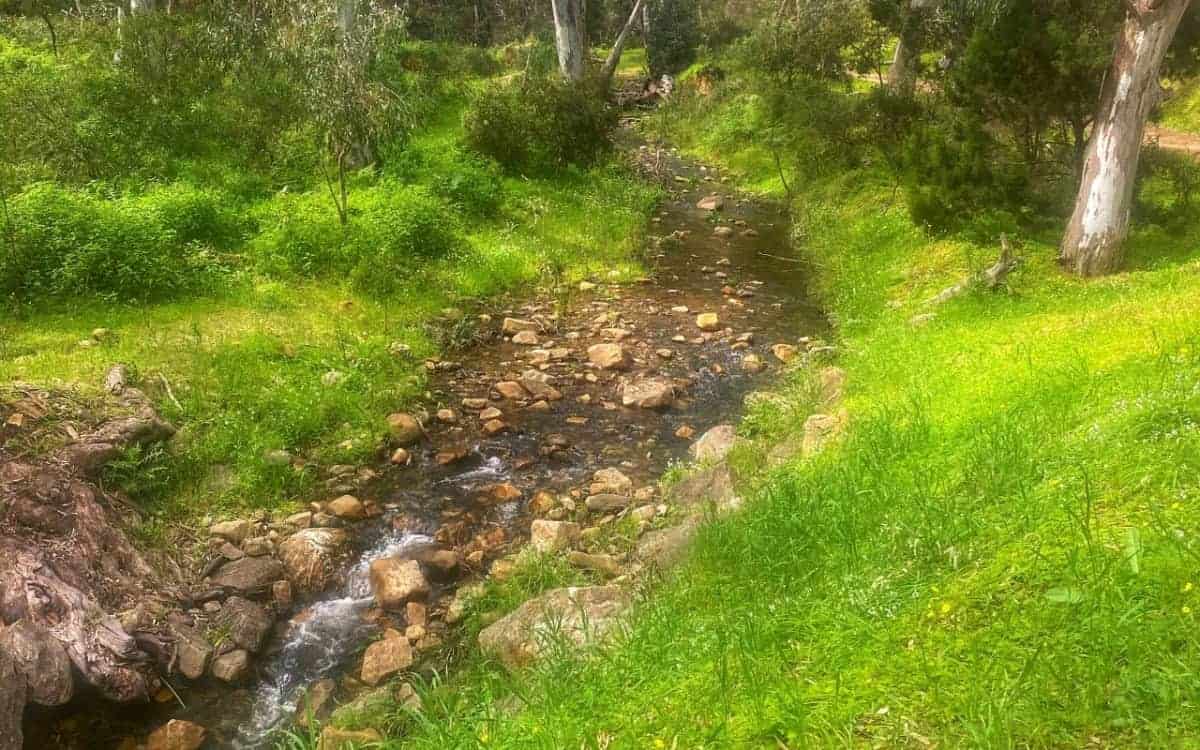 Creek-in-the-Adelaide-Foothills
