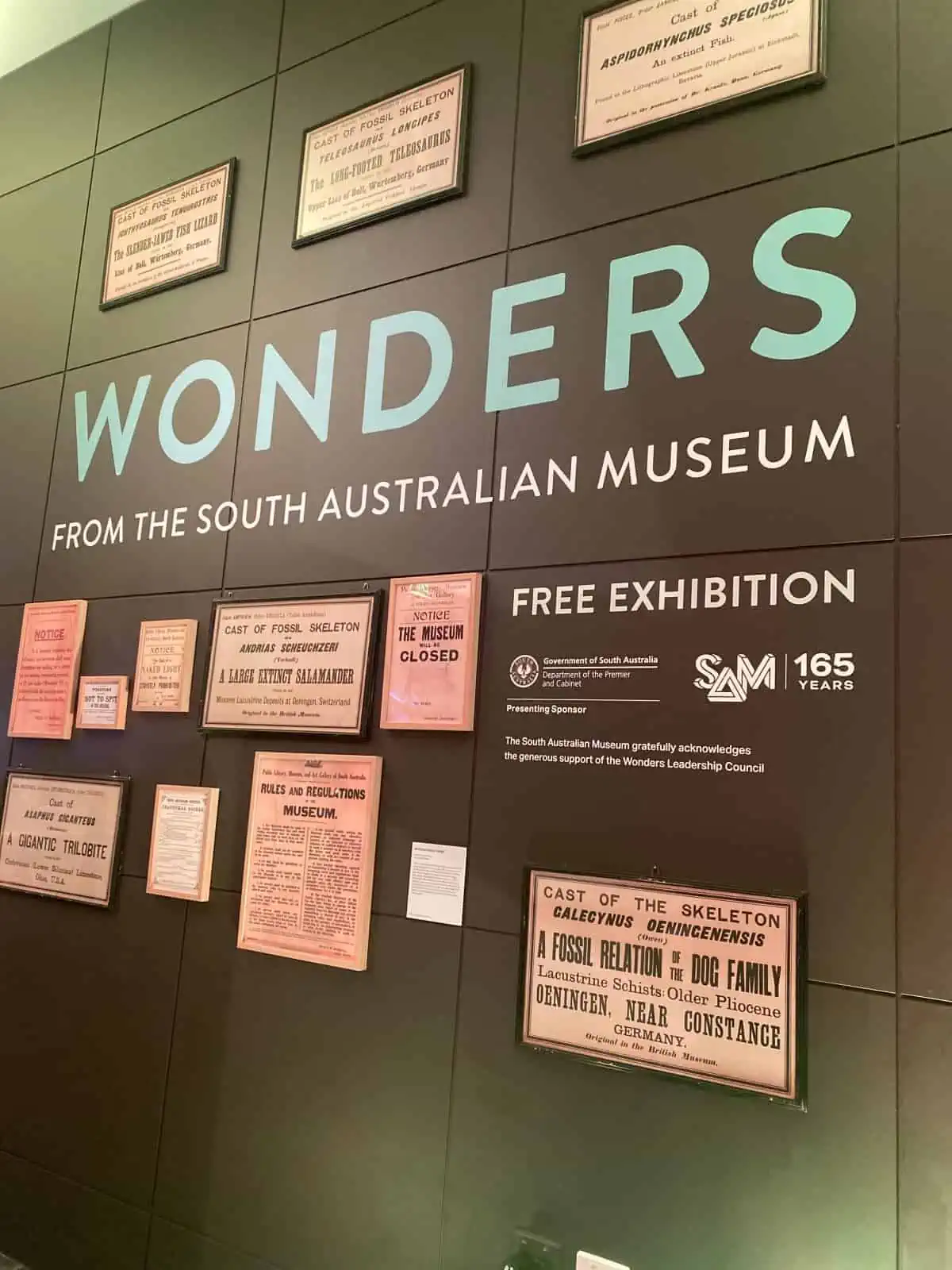 Exhibit-at-the-South-Australian-Museum