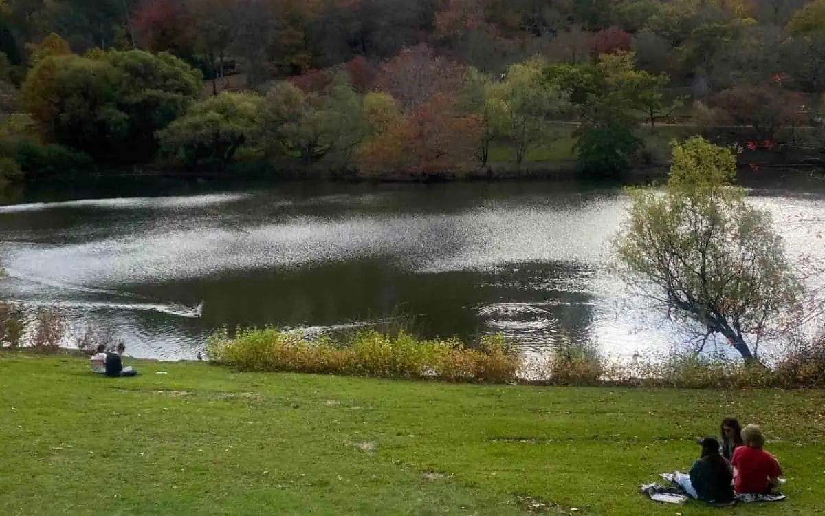 Mount-Lofty-Botanic-Gardens-in-Autumn