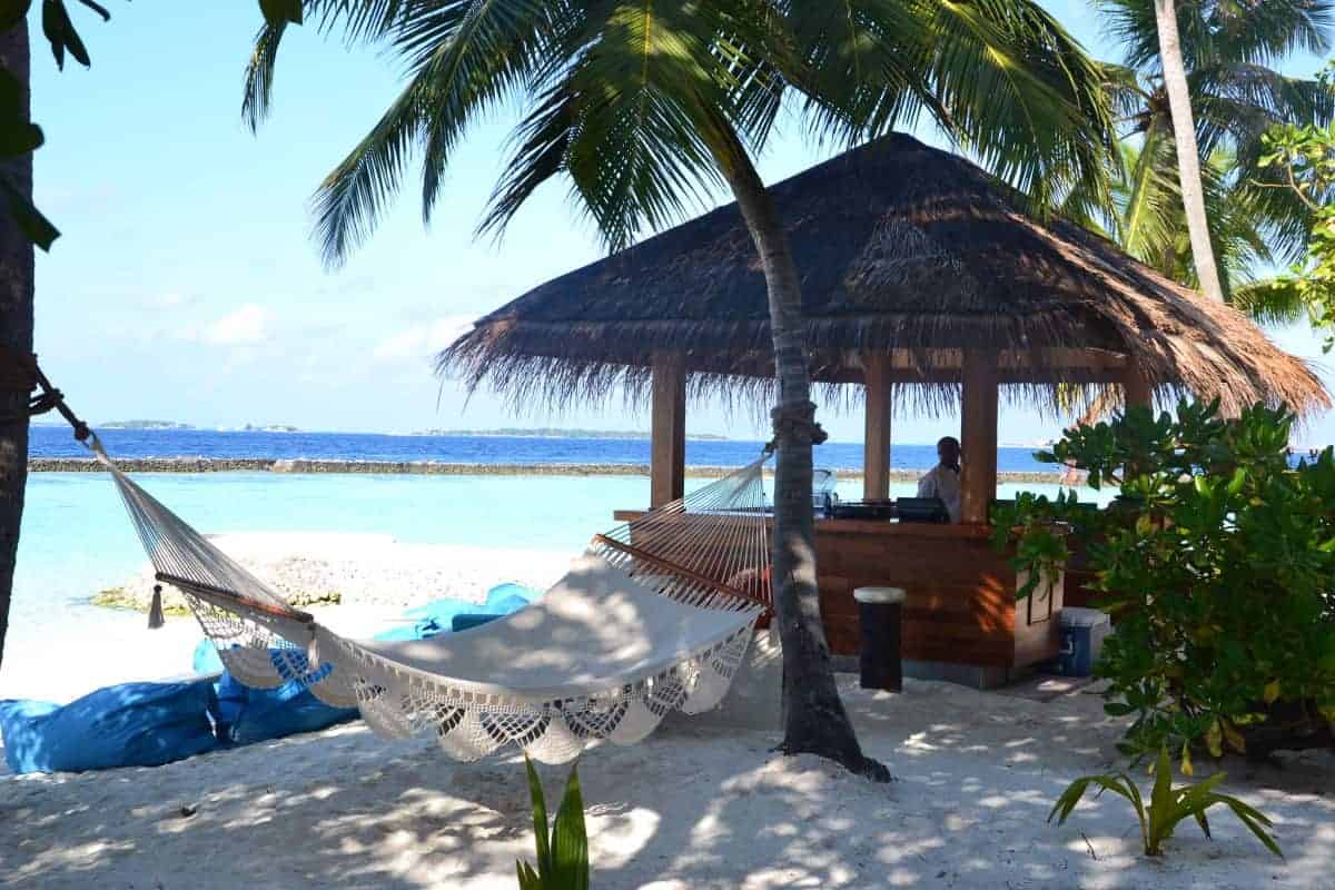 Questions-to-Help-You-Choose