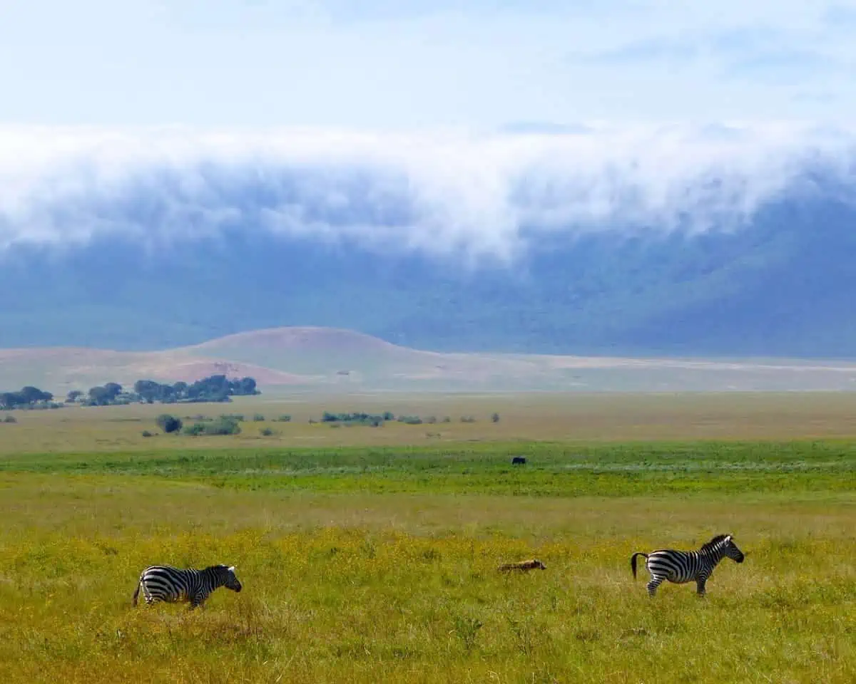 Ngorongoro-Crater-Tanzania