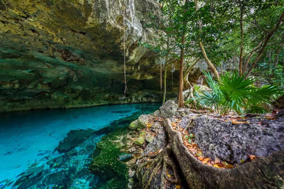 Explore-a-Cenote