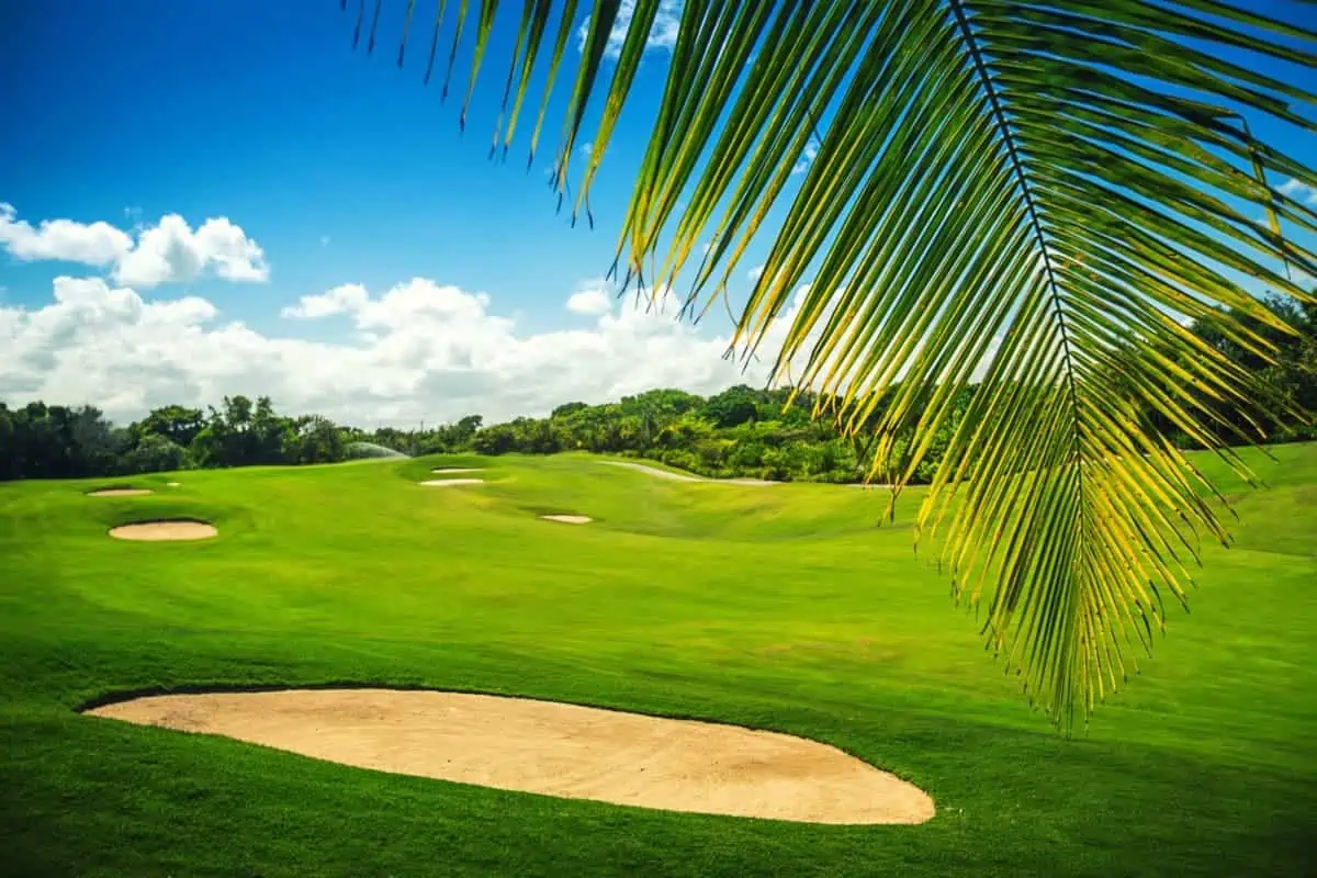 Golf-Court-in-Punta-Cana