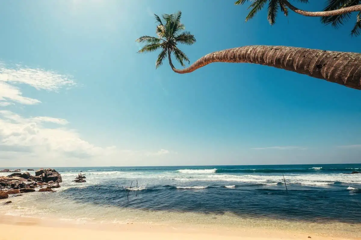 The-Ocean-View-of-Bahamas