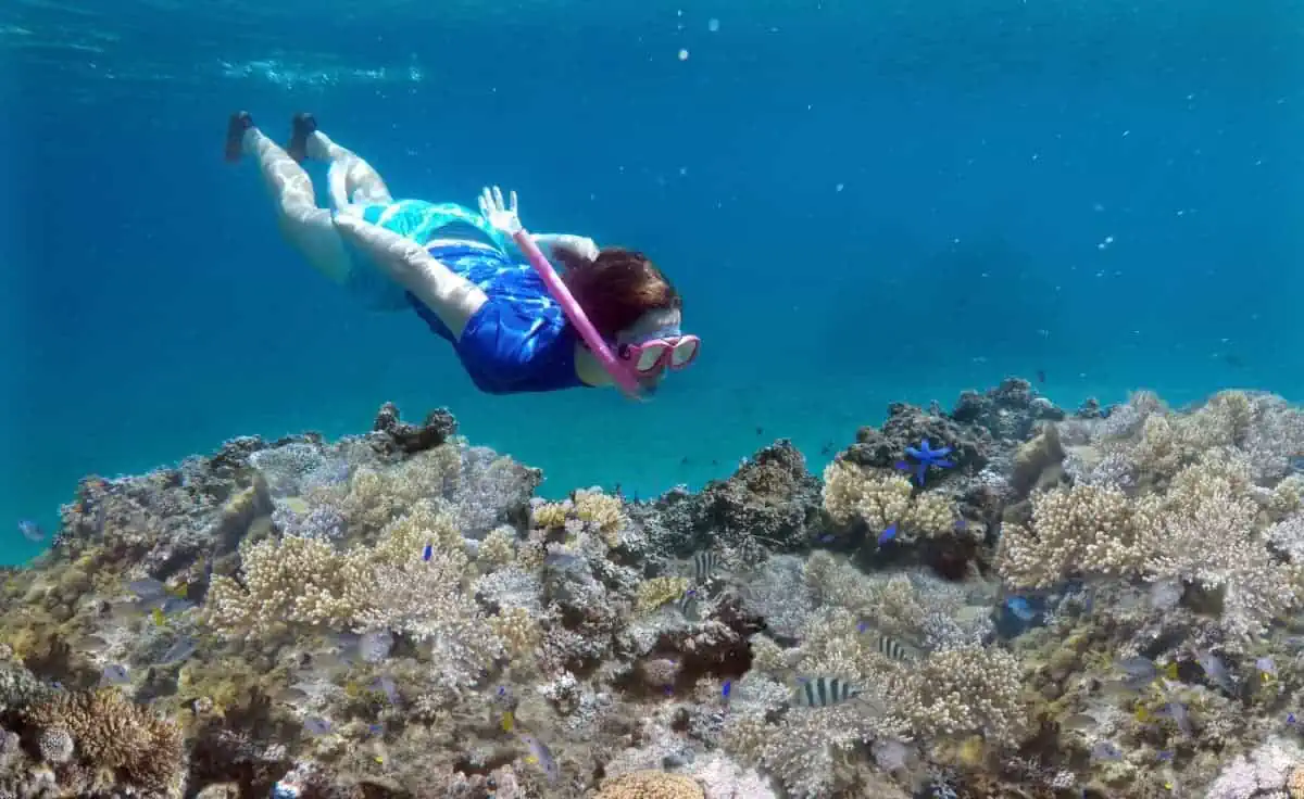 Woman-Snorkeling-over-Coral-Reef-in-Fiji
