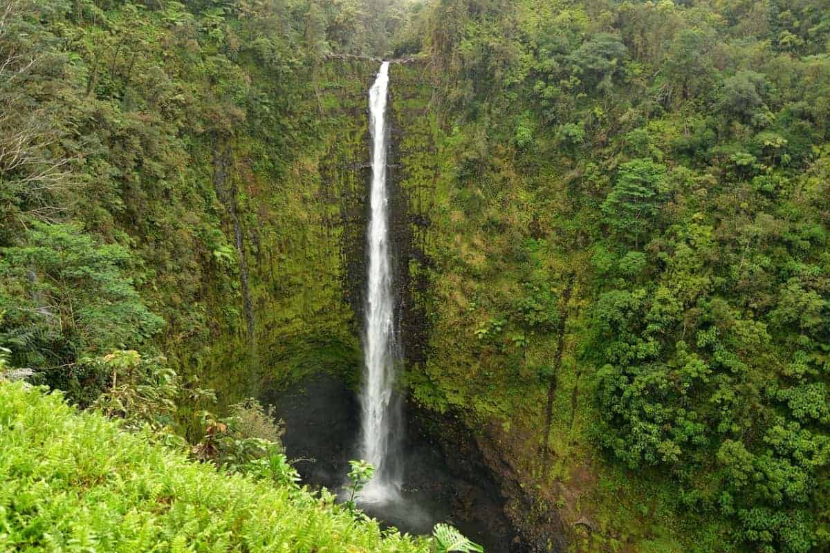 Akaka-Falls-State-Park