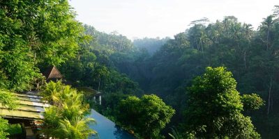 The 10 Best Hotels In Ubud, Bali in 2025