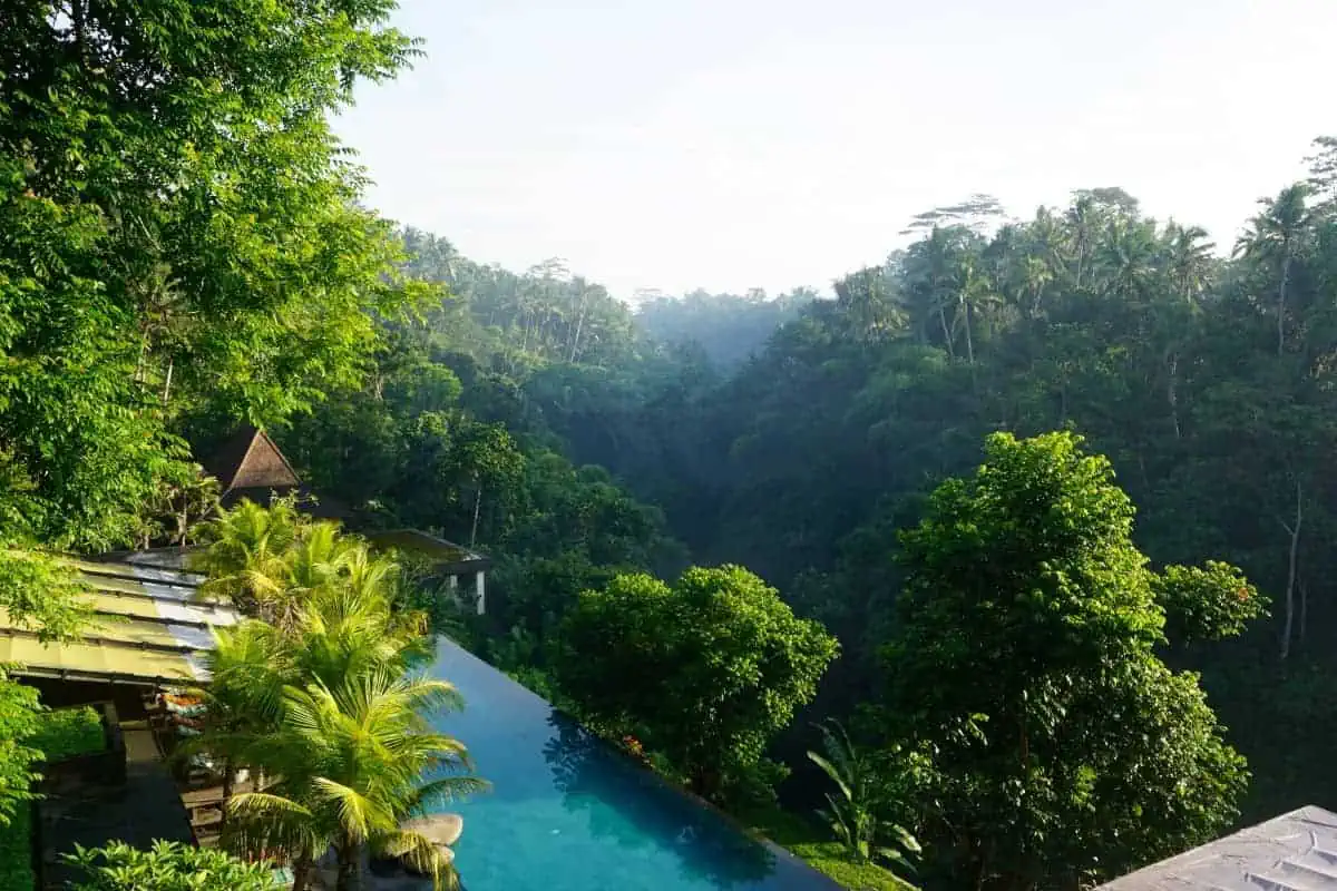 Best Hotels In Ubud Bali
