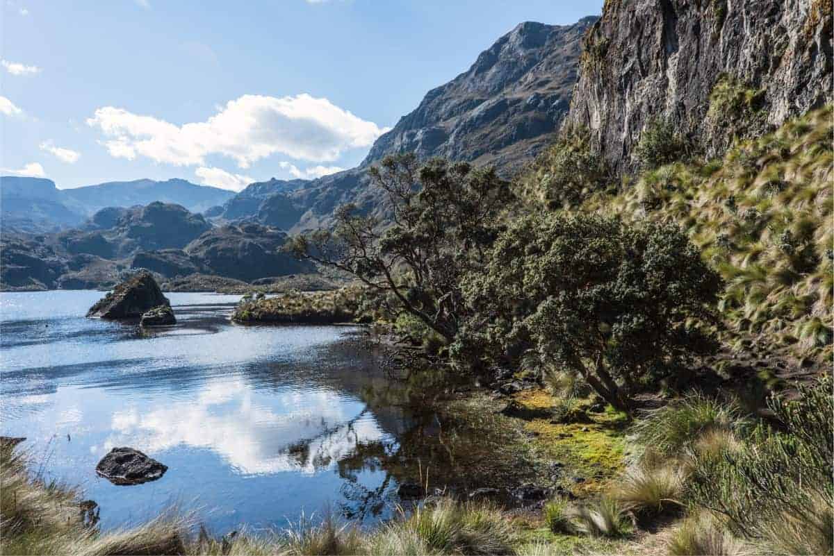 El-Cajas-National-Park
