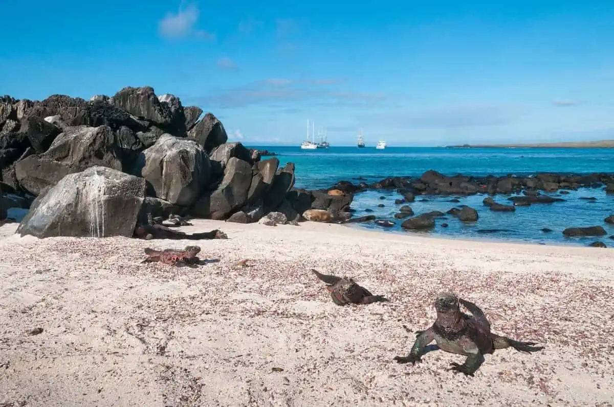 Galapagos-Islands
