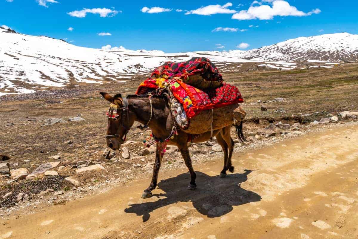 Deosai-National-Park