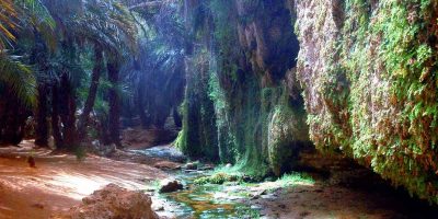 Mauritius vs Mauritania: An Honest Comparison in 2025