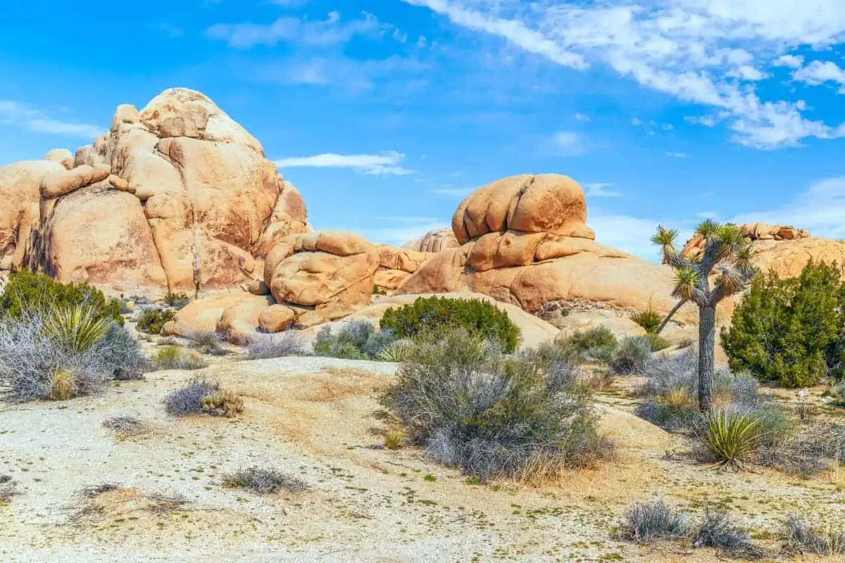Joshua-Tree-National-Park-California