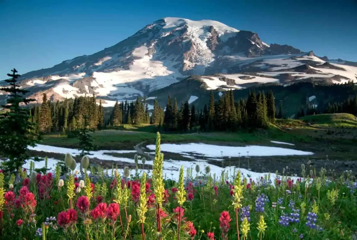 Mount-Rainier-National-Park-Washington