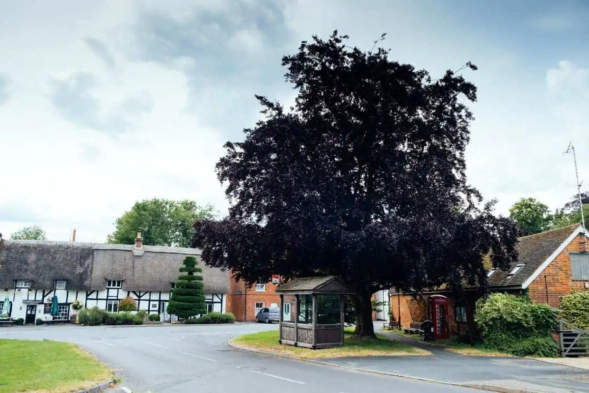 Stockbridge-Town-Street-MA