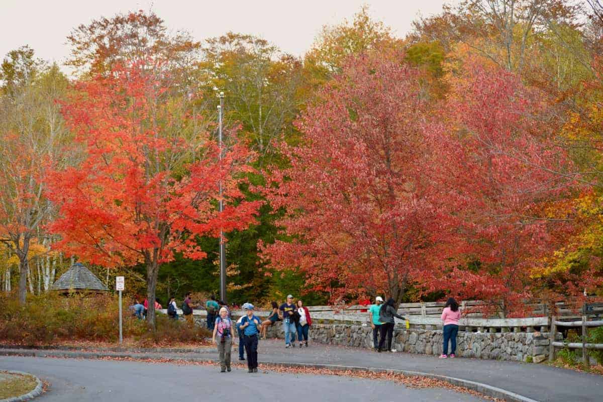 Sugar-Hill-New-Hampshire