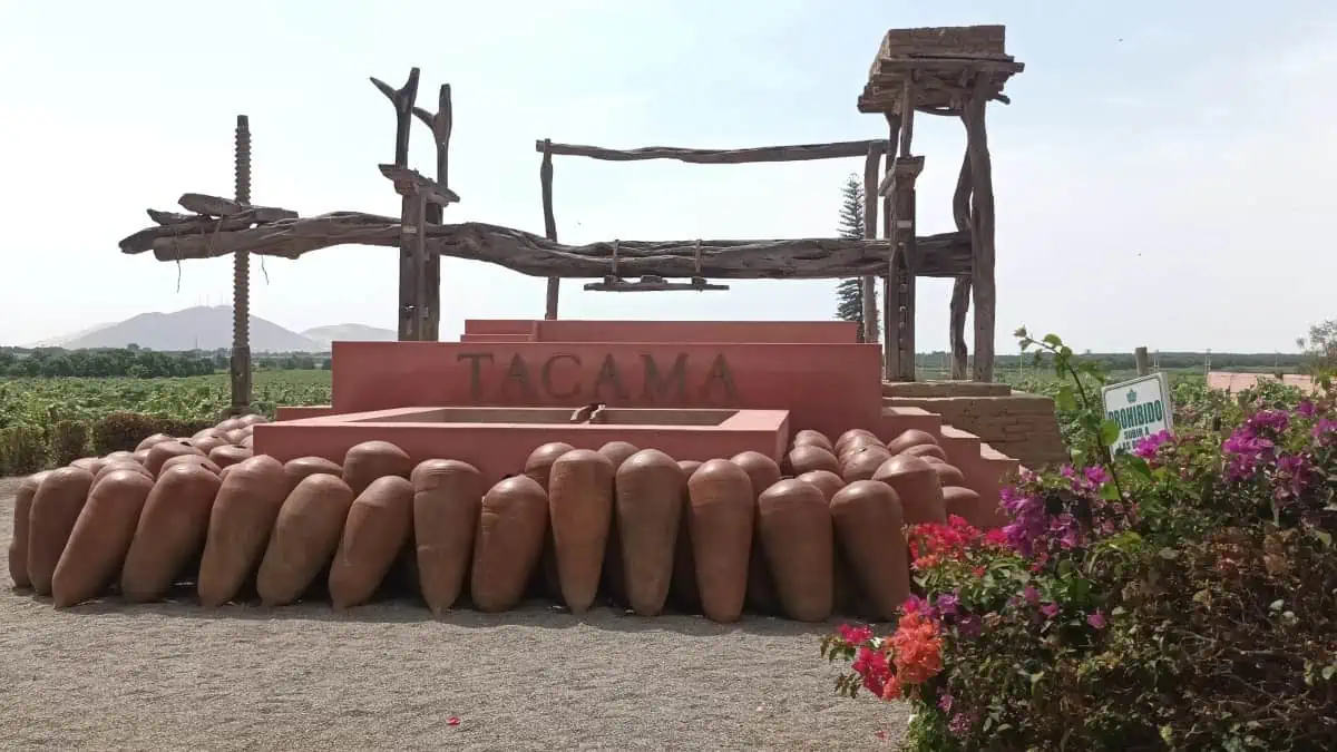 Tacama-Winery-Peru