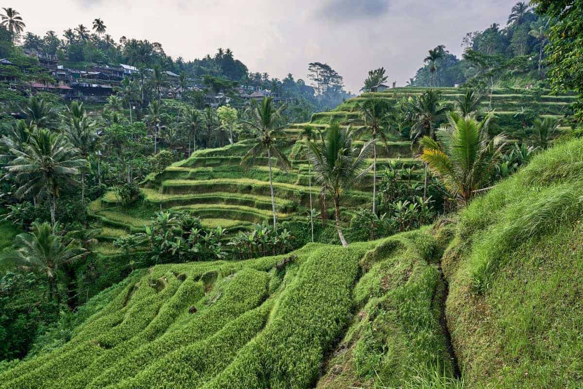 34 Cheap Places to Travel in 2025 | Best Budget Destinations 2 Rice-Field-in-the-Mountainous-Region-of-Ubud