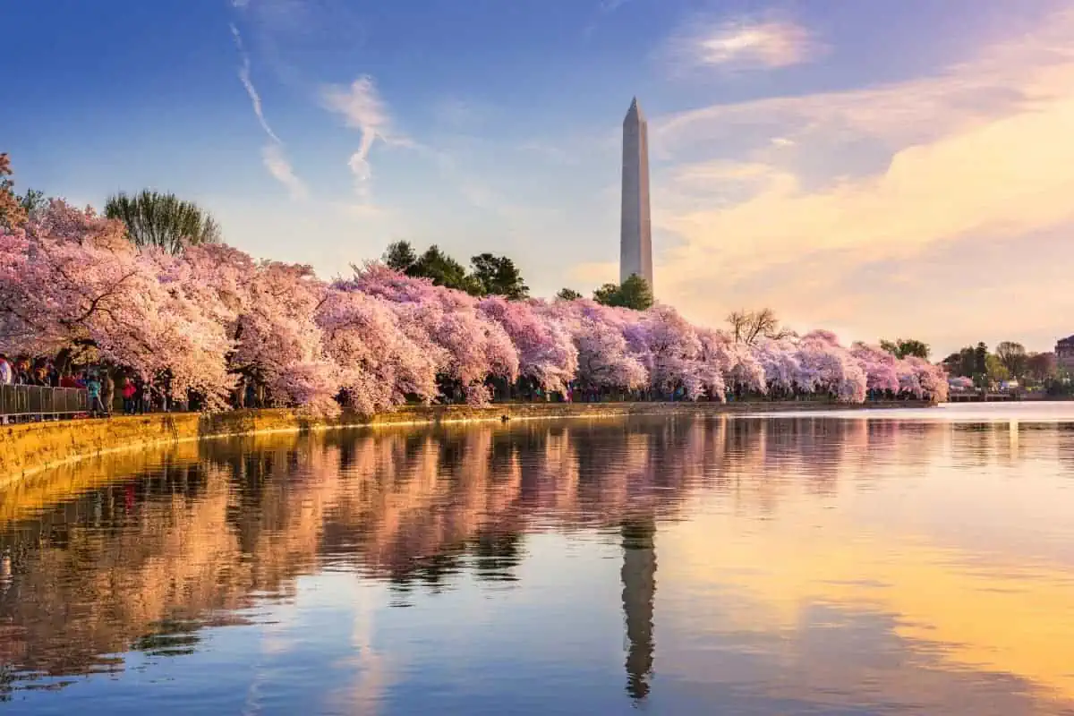 Washington-Monument-in-Spring