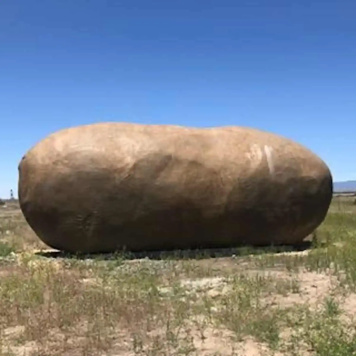 Idaho-Potato-Hotel-Boise-Idaho